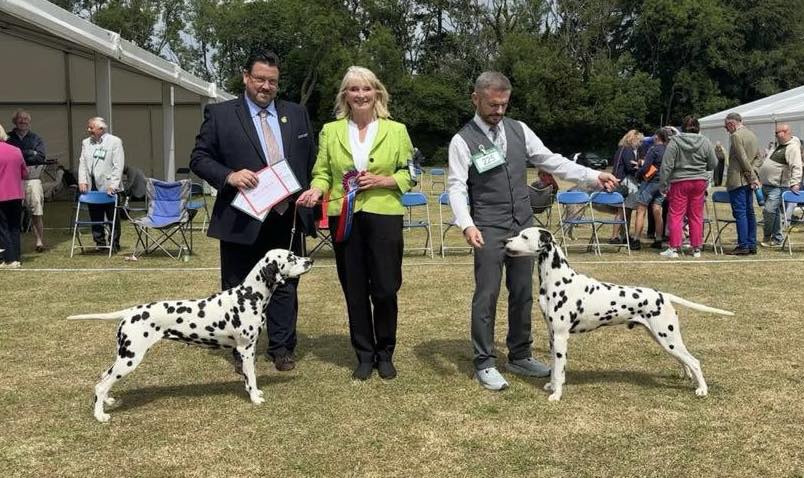 Julie and Mark winning BCC BOB and DCC