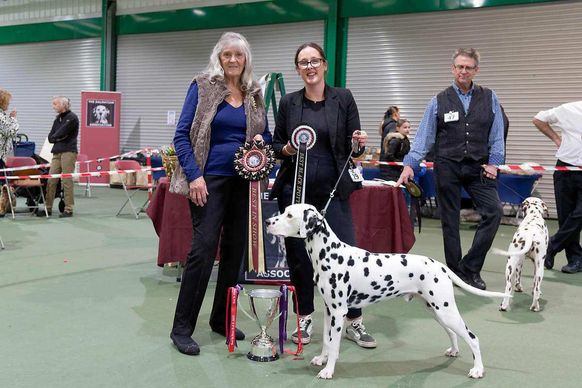 Sadiedel Let Ur Heart Decide, JW