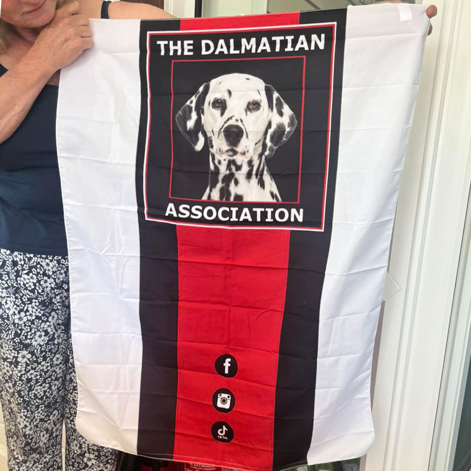 TDA banner