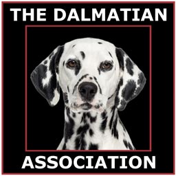 The Dalmatian Association