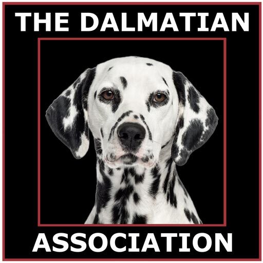 The Dalmatian Association